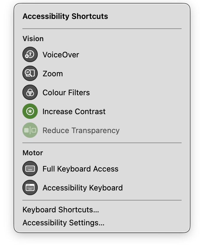 screenshot of accessibility options in MacOS with 'increase contrast' enabled